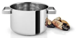 Eva Solo Kookpan Nordic Kitchen RVS - ø 20 Cm / 4 Liter -Huis Keuken 281240 Nordic Kitchen Pot 4l 20cm regi HIGH