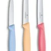 Victorinox Schilmessenset Pastel - 3-Delig -Huis Keuken 7613329141885 1