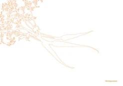 Kookboek - Plenty More -Huis Keuken 9789059565388 03