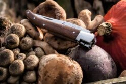 Laguiole Style De Vie Zakmes Rozenhout 13 Laguiole Style De Vie Zakmes Rozenhout -Huis Keuken Laguiole zakmes rozenhout sf gr 9