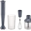 Alessi Staafmixer Set Plissé - Grijs - Michele De Lucchi - MDL10S G -Huis Keuken MDL10S G A4 3500pxl