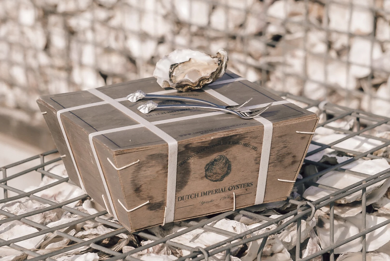 Anovi Oestervorkjes - 4 Stuks 5 Anovi Oestervorkjes - 4 Stuks - Afbeelding 3