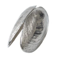 Anovi Mosselschep -Huis Keuken product 5 3