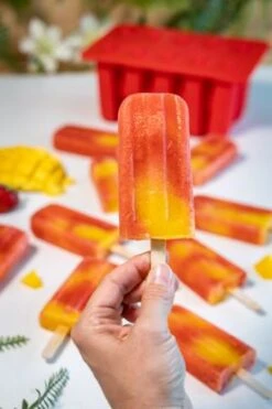 Sareva IJsjesmaker Voor 10 Ijsjes - Rood - Siliconen + 150 Houten IJsstokjes -Huis Keuken sareva ijsjesmaker 2