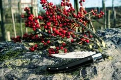 Laguiole Style De Vie Zakmes Zwart Ebbenhout -Huis Keuken sf zakmes zwart ebbenhout 6 gr